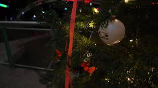 Downtown Christmas