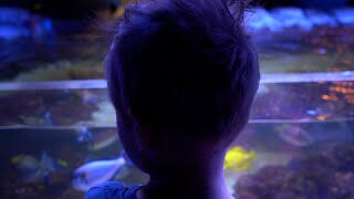 Aquarium